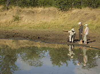 &Beyond Ngala Safari Lodge: Buschwanderung mit erfahrenem Guide
