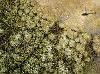 Duba Plains Camp: Helicopterflug