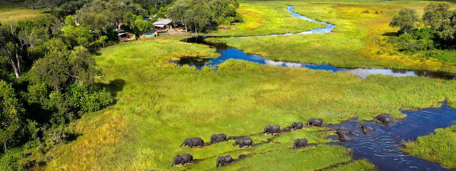 Khwai Leadwood: Vogelperspektive Khwai Leadwood: Vogelperspektive