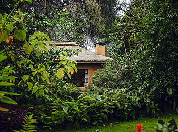 Sambora Kinigi Lodge: verstecktes Cottage