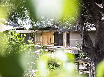 Mombo Camp: Blick auf die Unterkunft Mombo Camp: Blick auf die Unterkunft