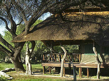 Edo's Camp: Meru-Zelt Edo's Camp: Meru-Zelt