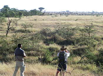 Encounter Mara Camp: Walking Safari