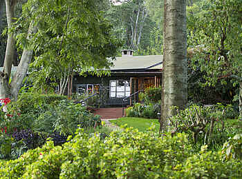 Gibbs Farm: Blick auf die Farm