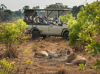Ila Safari Lodge: Auf Pirschfahrt