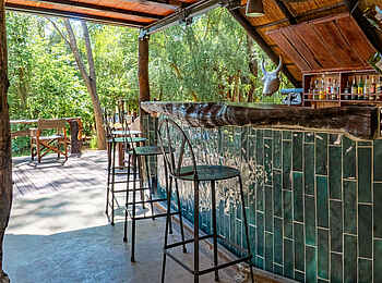 Ivory Lodge: An der Bar Ivory Lodge: An der Bar