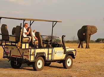 Jozibanini Camp: Game Drive mit Elefanten Jozibanini Camp: Game Drive mit Elefanten