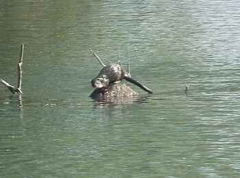 KaingU Safari Lodge: Kapotter