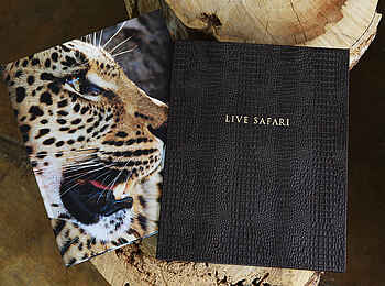 Londolozi Tree Camp: Safaribuch