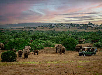 Long Lee Manor Lodge: Pirschfahrt Long Lee Manor Lodge: Pirschfahrt