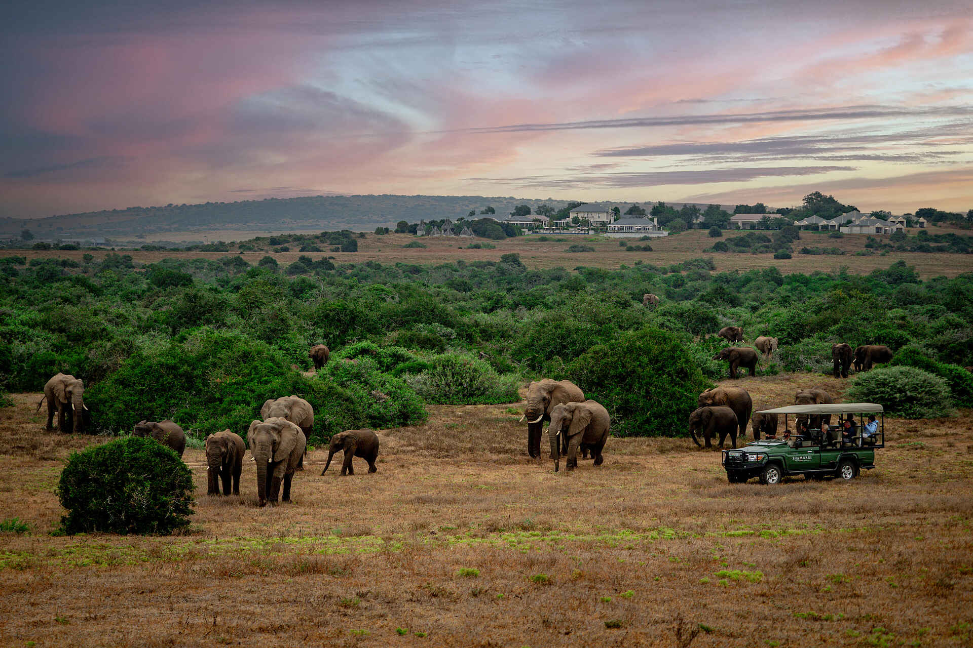 Long Lee Manor Lodge: Pirschfahrt