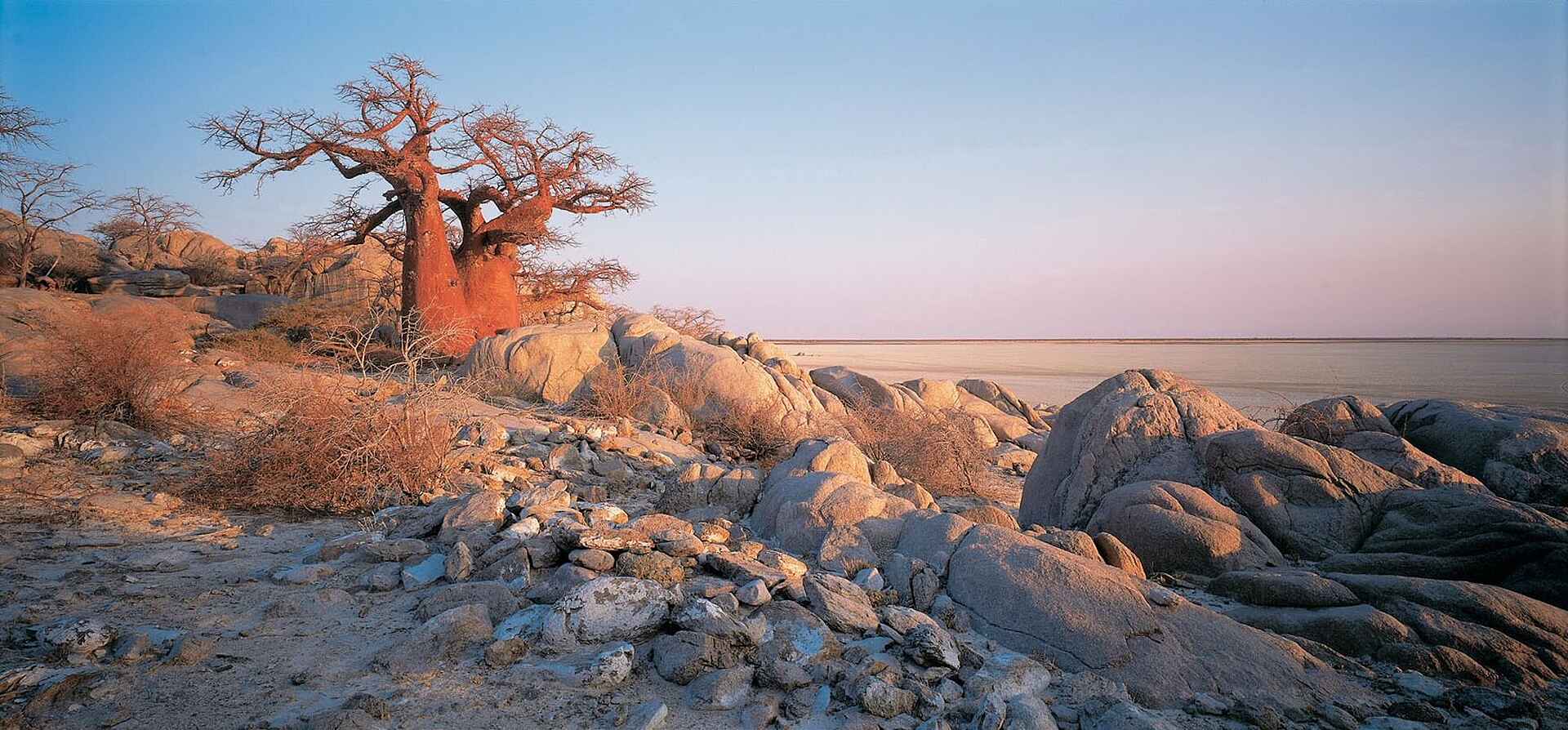 Baobab, CT11, Kubu Island, Makgadikgadi, Ntwetwe Pan, Nxai Pans, San Camp, Uncharted Africa Safari Co., Ntwetwe-Pfanne