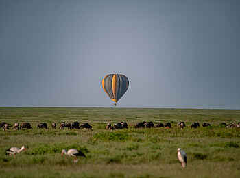 Serengeti Woodlands Camp: Ballonfahrt