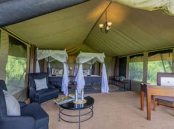 Serengeti Woodlands Camp: Twin Tent Blick hinein