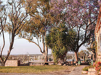 Voigtland Guesthouse: Der Weg zur Terrasse