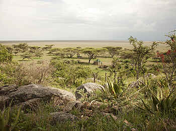 Wayo Nabi Green Camp: Landschaft um das Camp Wayo Nabi Green Camp: Landschaft um das Camp