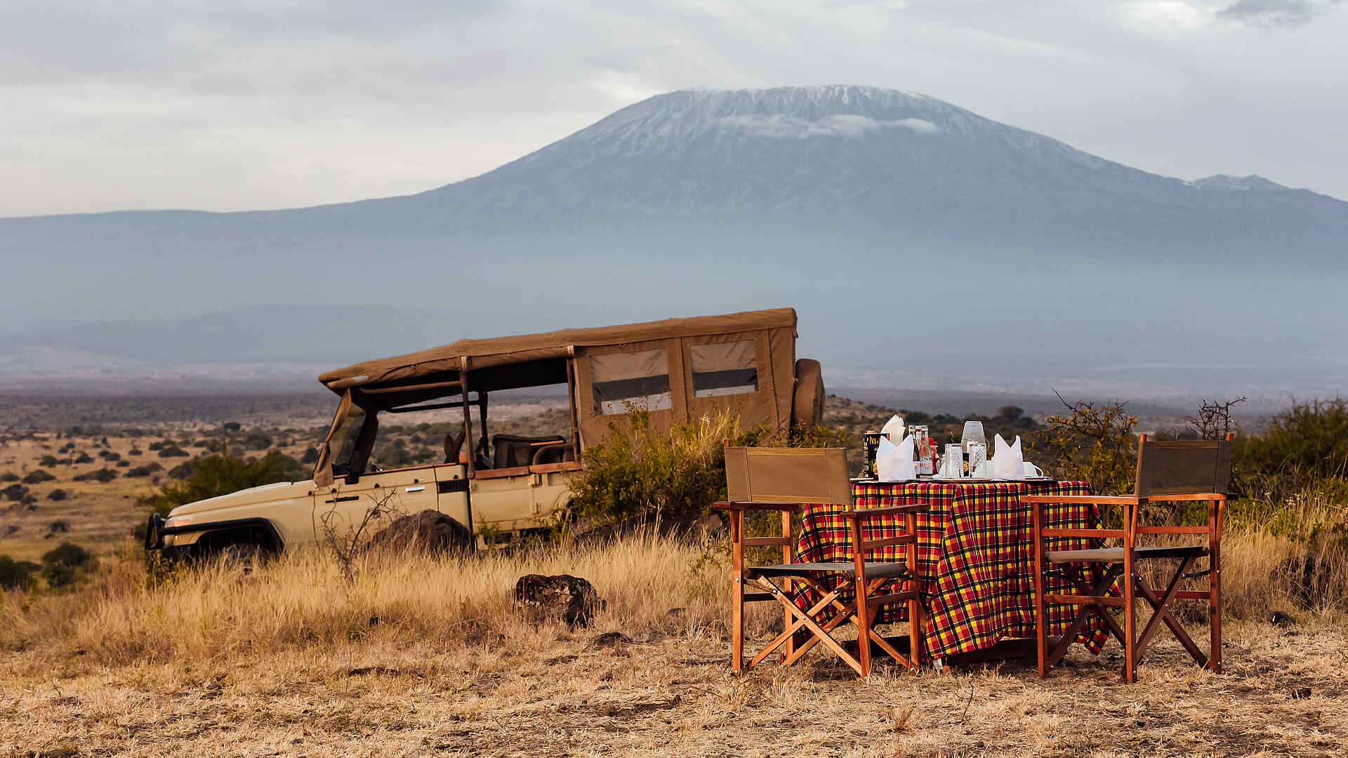 Elephant Gorge Camp: Picknick auf Pirschfahrt