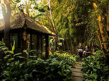 Fairlawns Boutique Hotel & Spa: Spa Garten