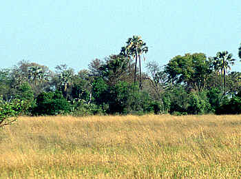 Kujwana Camp: Auge in Auge mit Elefant