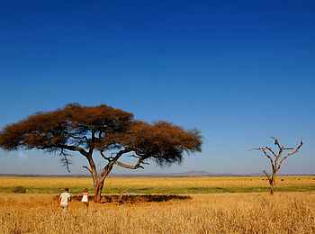 Kuro Tarangire: Wanderung Kuro Tarangire: Wanderung