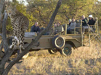 Okonjima Plains Camp: Safari im Gelädewagen Okonjima Plains Camp: Safari im Gelädewagen
