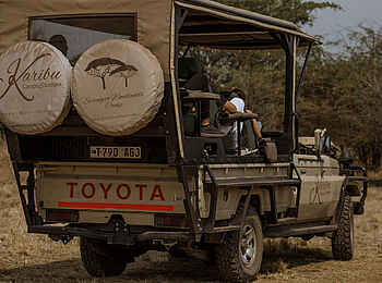 Serengeti Woodlands Camp: Game Drive