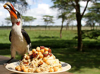 Sirikoi: Mahlzeit mit Vogel und Ausblick