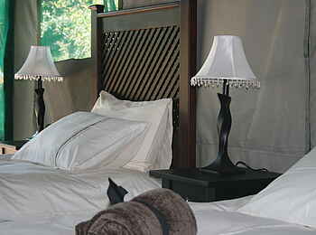 Taranga Safari Lodge: Schlafzimmer