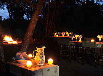 The Hide: Bush Dinner The Hide: Bush Dinner