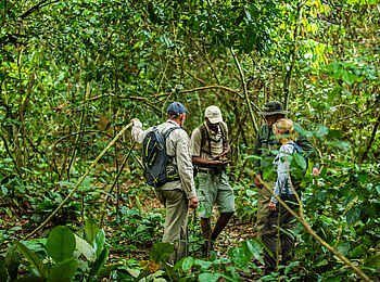 Lango Camp: Der Guide erklärt das komplexe Ökosystem Lango Camp: Der Guide erklärt das komplexe Ökosystem