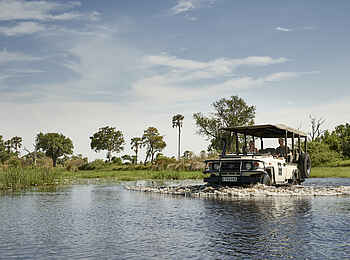 Baines Lodge: Pirschfahrt durch das Delta Baines Lodge: Pirschfahrt durch das Delta