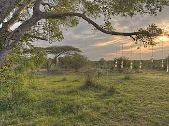 &Beyond Kirkman's Camp: Besondere Trinkpause &Beyond Kirkman's Camp: Besondere Trinkpause