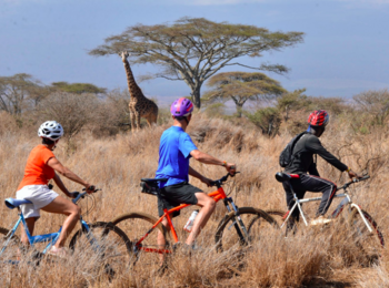Elerai Camp: Eine Fahrrad Tour Elerai Camp: Eine Fahrrad Tour