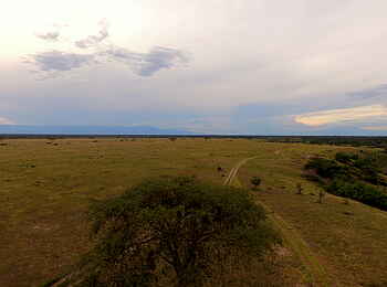 Enjojo Lodge: Piste durch den Ishasha-Sektor