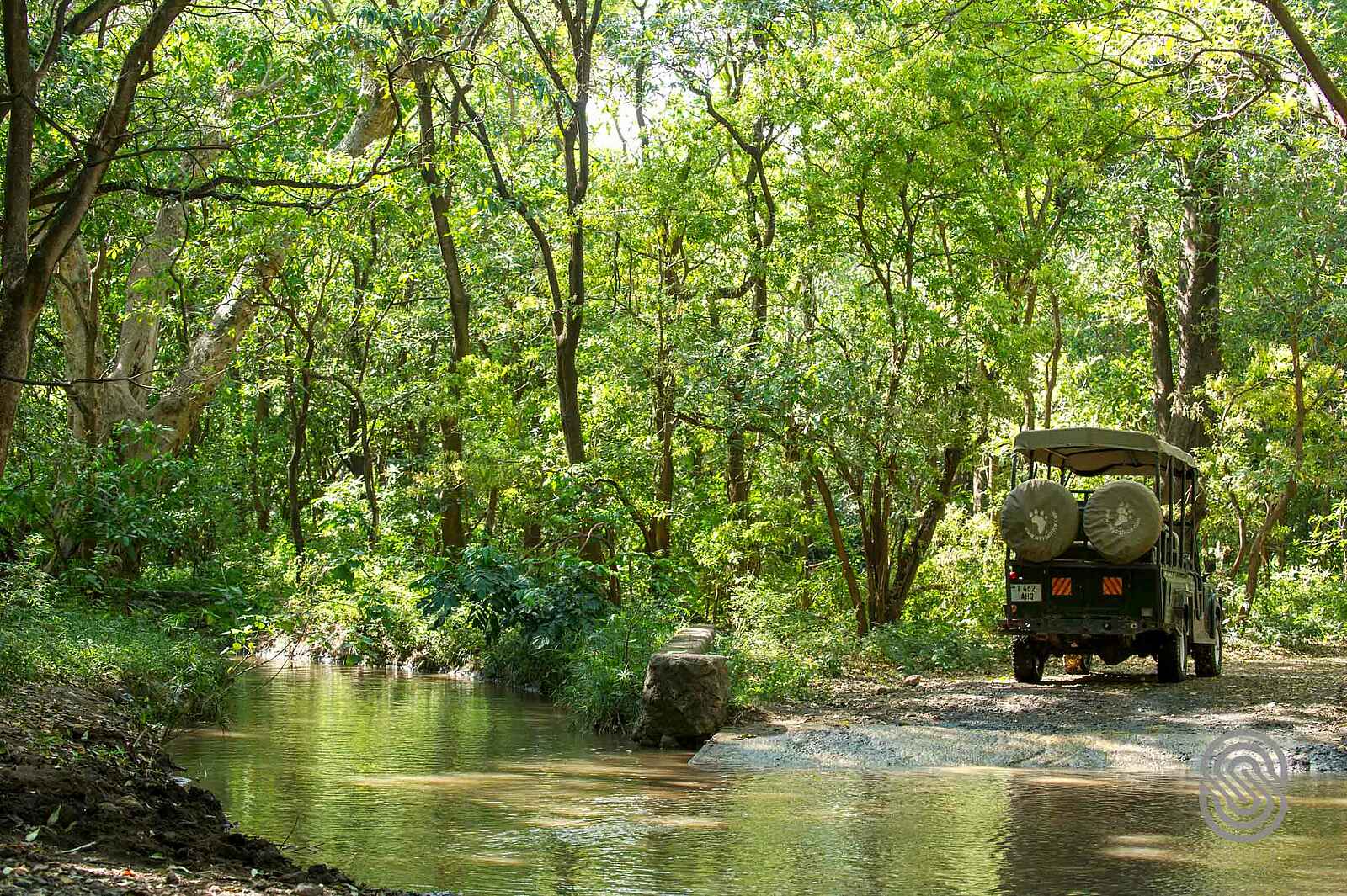 Lake Manyara Serena Lodge: Pirschfahrt Lake Manyara Serena Lodge: Pirschfahrt