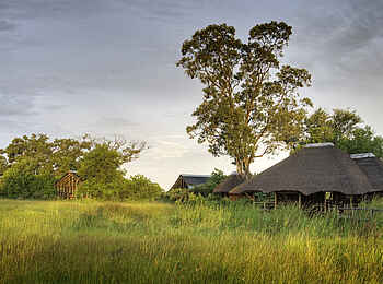 Lebala Camp: Gesamtansicht