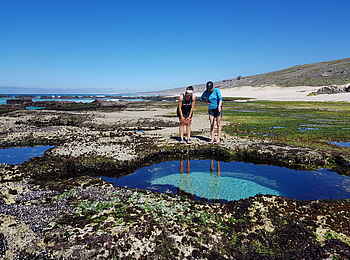 Lekkerwater Beach Lodge: Gezeitenpools Lekkerwater Beach Lodge: Gezeitenpools