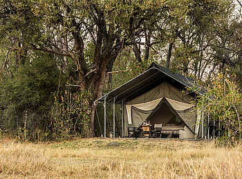 Machaba Camp: Luxury Family Tent Ansicht