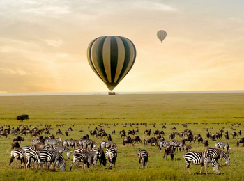 One Nature Mara River Lodge: Heißluftballonfahrt in der Serengeti