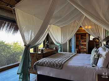 Sitatunga Private Island Camp: Blick nach draußen