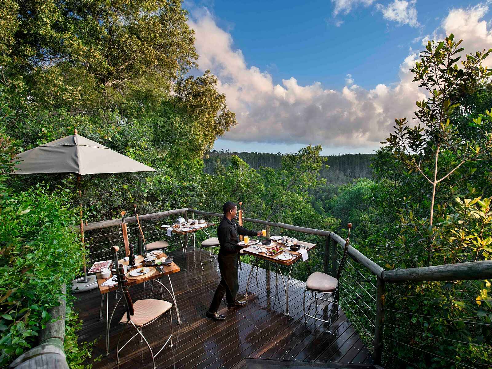 Tsala Treetop Lodge: das schöne Speisedeck Tsala Treetop Lodge: das schöne Speisedeck