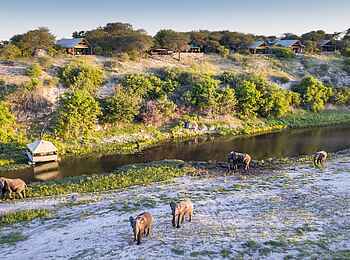 Meno A Kwena: Elefanten vor dem Camp Meno A Kwena: Elefanten vor dem Camp