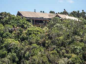 Kariega Settlers Drift Lodge: Hauptgebäude hinter Bäumen