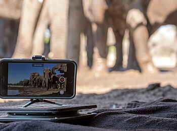 Mashatu Photographic Hide: Handykamera