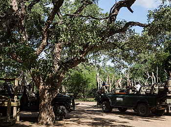 Simbavati River Lodge: Safari Fahrzeuge