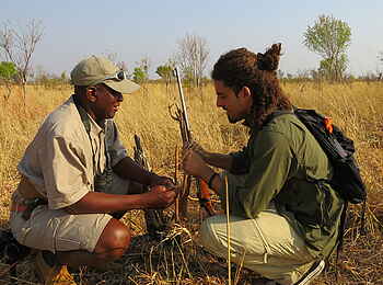 Somalisa Acacia Camp: Tour