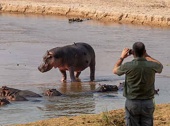 Takwela Camp: Nilpferdgruppe Takwela Camp: Nilpferdgruppe