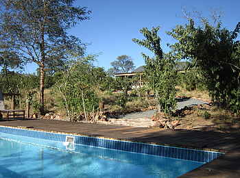 Chobe Elephant Camp: Swimming Pool und Haupthaus Chobe Elephant Camp: Swimming Pool und Haupthaus
