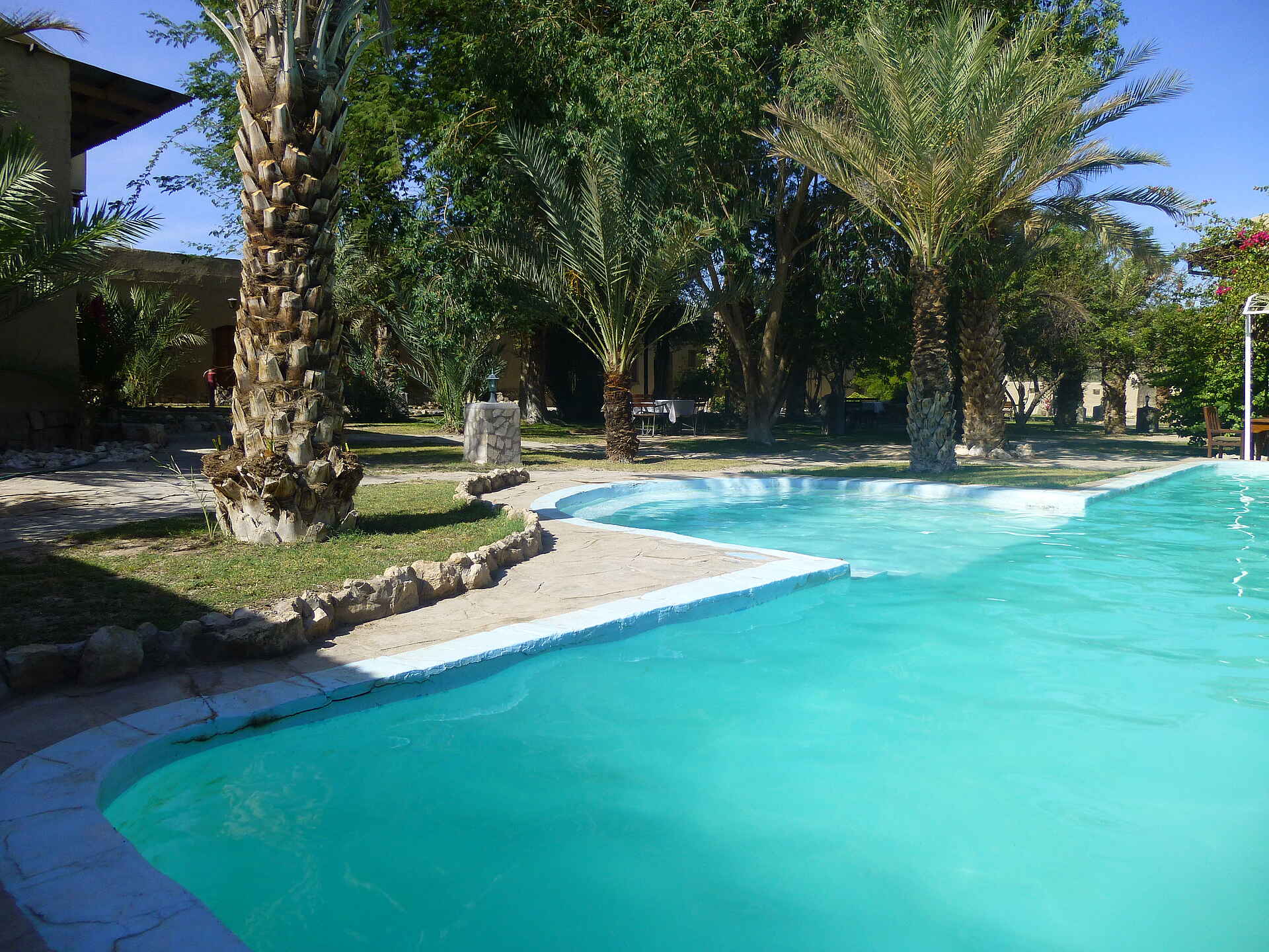 Fort Sesfontein: Der Blick vom Pool in Richtung des Gartens namibia 2013, Damaraland, Fort Sesfontein, Kaokoveld, Namibia, Hoanib, Trockenfluss, Garten, Palmen, Pool, Afrikarma, Afrikarma Safaris, Afrikarma Safaris – Wildnis. Hautnah., afrikarma.de