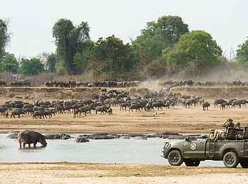 Mwamba Bush Camp: Pirschfahrt Mwamba Bush Camp: Pirschfahrt